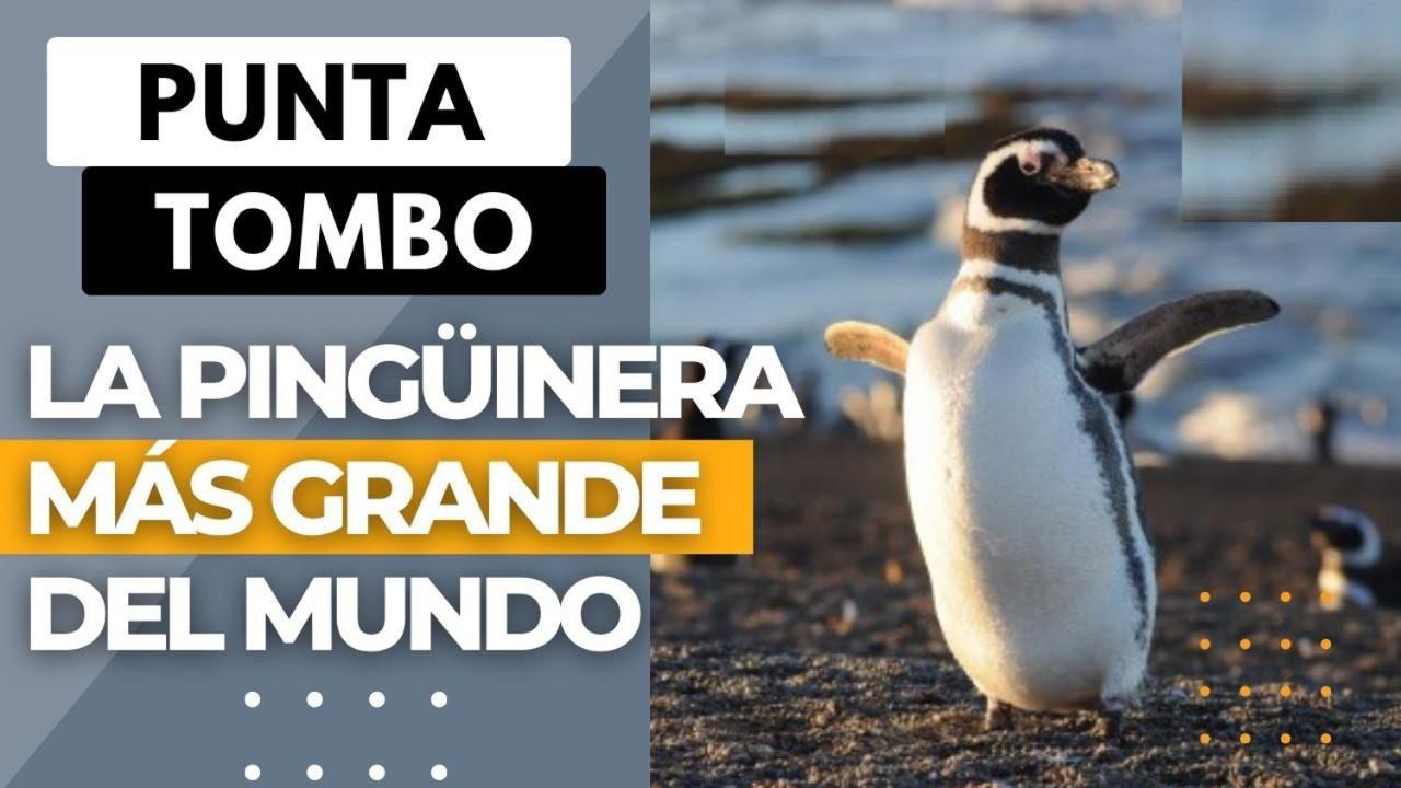 Appartamento Departamentos Ensuenos Trelew Esterno foto