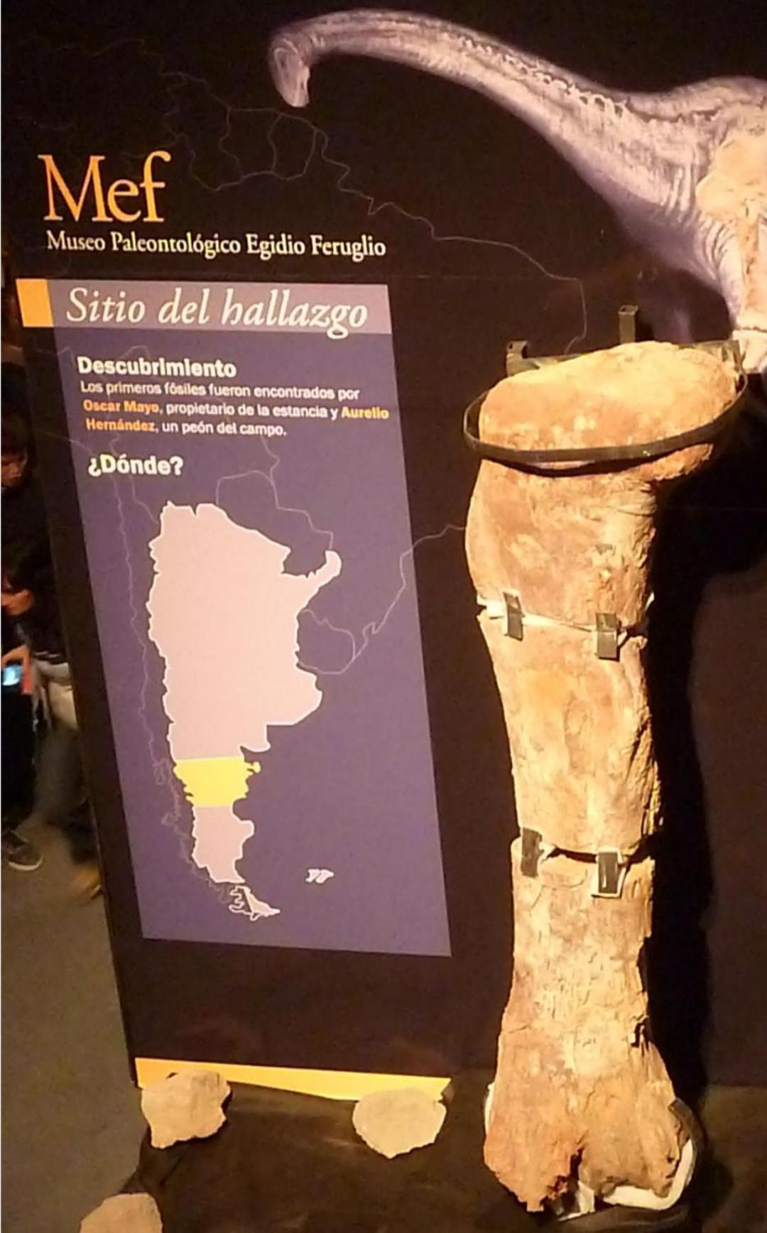 Appartamento Departamentos Ensuenos Trelew Esterno foto