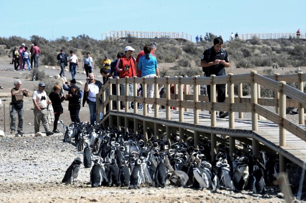 Appartamento Departamentos Ensuenos Trelew Esterno foto